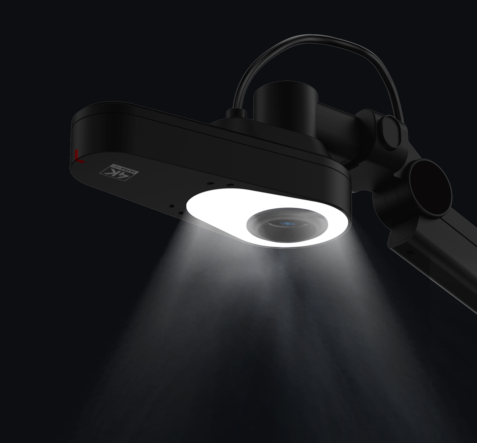 Adjustable LED Light